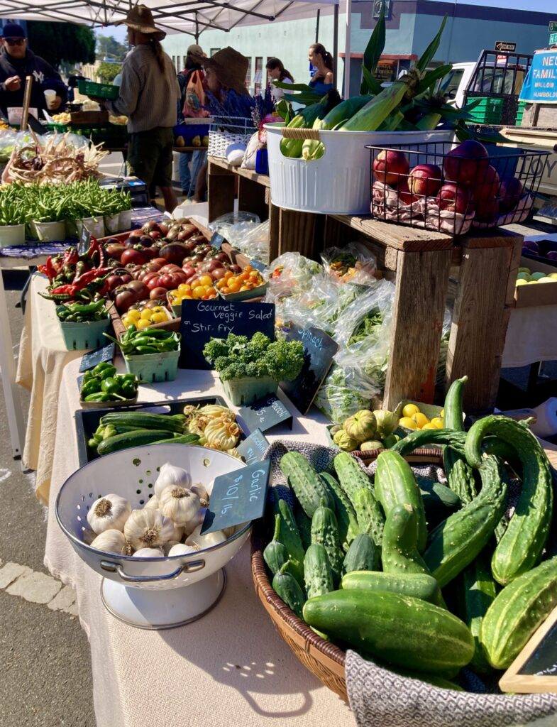 farmers' market in Humboldt County in Northern California