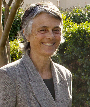 Ann Lindsay